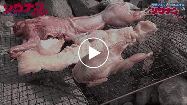 「ソウナンですね」その13