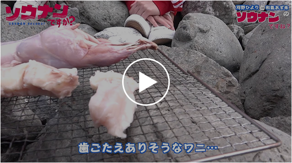 「ソウナンですね」その14