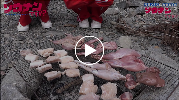 「ソウナンですね」その15